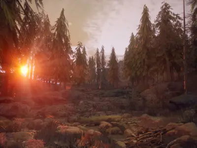 Pine Forest 64 Assets Low-poly 3D model