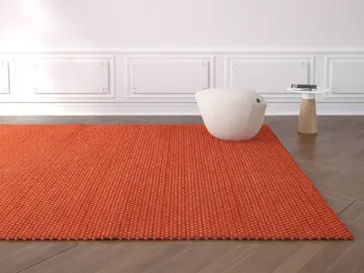 Rope Rug 3D model