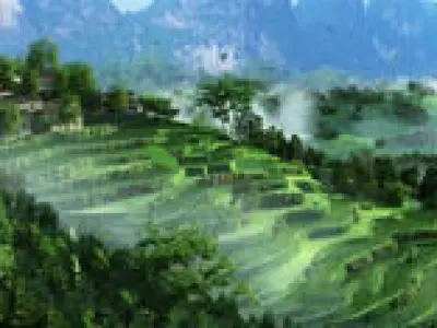 Terraced fields in spring summer autumn and winter 3D model