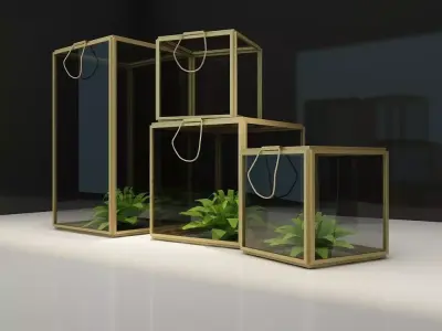 Glass Boxes Plant Display 3D model