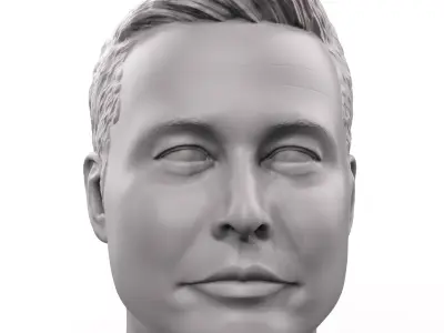 Elon Musk 3D printable portrait sculpture  3D print model