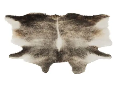 European Rug Cowhide 12 3D model