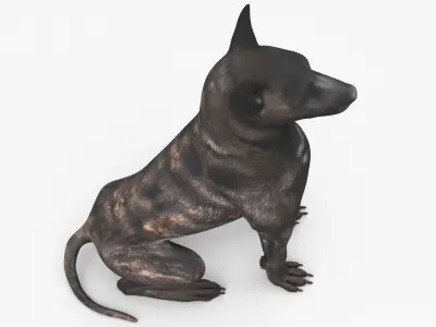  Dutch Shepherd Dog Sitting 