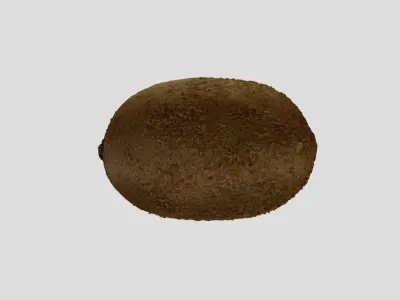 Kiwi Fruit 3D model
