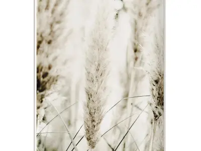 Poster sets 05 3D model