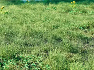 Realistic Grass Pack - CGrass v2 Low-poly 3D model