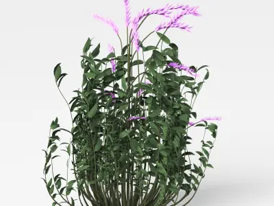 5 Type of Out door Bush Set vol 3D model