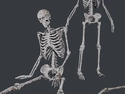 10 Skeletons Old and Mossy Game Ready Low-poly 3D model