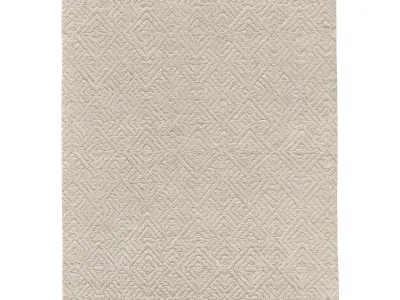 TALSARI HAND-KNOTTED SILK WOOL RUG 3D model