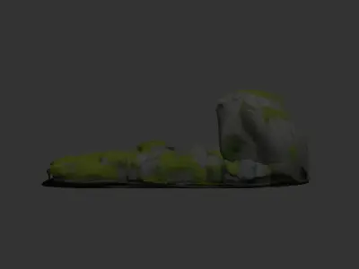 Algae covered rocks  in a stream 3D model