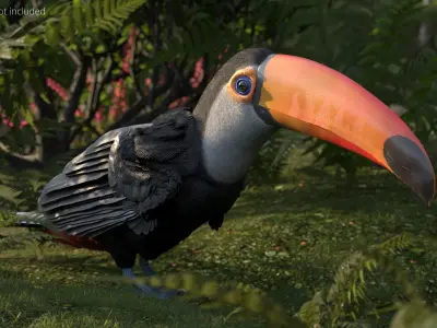  Wild Toucan Bird Fur For Blender 