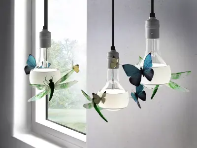 Johnny B Butterfly 3D model