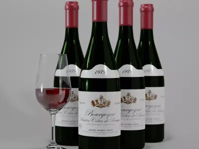 Burgundy red wine bottle with glass 3D model