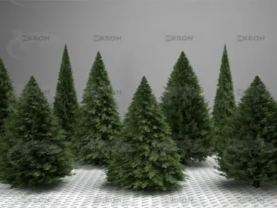 Christmas tree collection 3D model
