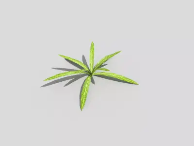 Low poly Plant Low-poly 3D model