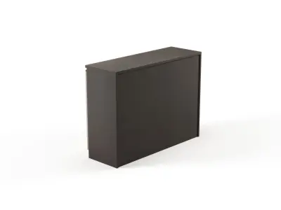 Modern Office Low Cabinet File For Staff  Free 3D model