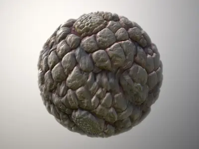 Material Skin Monster 47 Seamless PBR Texture Texture