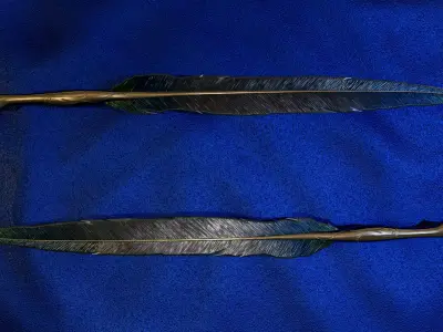 Feather Raven Sword Low-poly 3D model