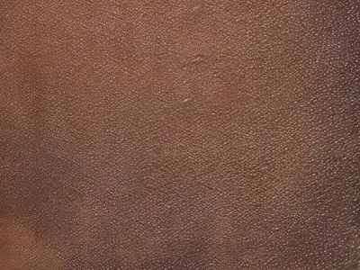 Textures 1 skin Texture