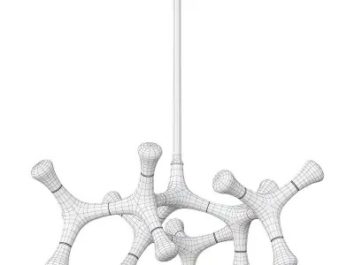 Root Anzazo-P5 3D model