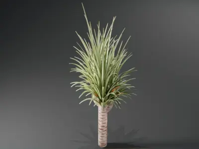  Tropical plants collection Low-poly 3D model