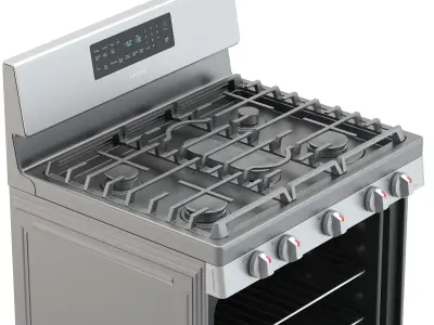Samsung Gas Range with Convection 3D model