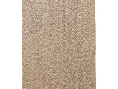  RIO JUTE RUG 3D model