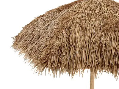 Bamboo shelter beach canopy 3D model