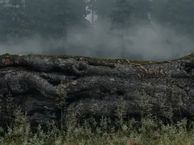 Photorealistic Different Tree Trunks Low-poly 3D model