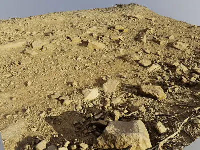 rockpathscan06102024 3D model