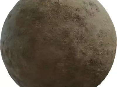 Mildewed Plaster Wall  Texture