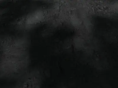 Soil Scan Low-poly 3D model