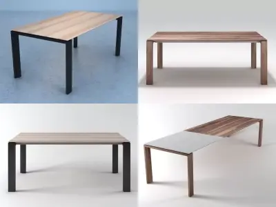 Malva dining table made of wood and metal 3D model