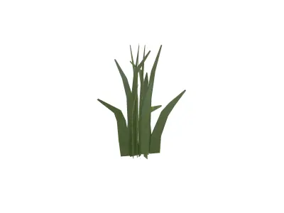 Grass 008 v3 Low-poly 3D model