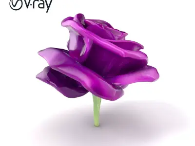 Rosa Purple Rose Velvety Texture Model Pack Low-poly 3D model