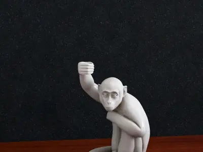 Monkey Bra2 3D print model