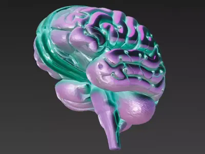 Cyber Organs Bundle 6 Biomechanical Sci-Fi Low-poly Low-poly 3D model