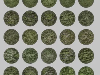 Grass and Moss Textures Texture