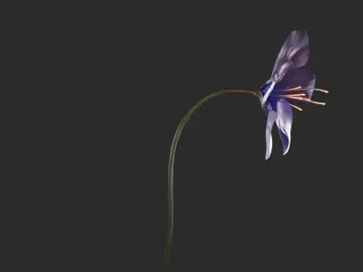 Blue Forest Flower Animated Low Poly Low-poly 3D model