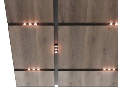 Wooden suspended ceiling with lighting 36 3D model