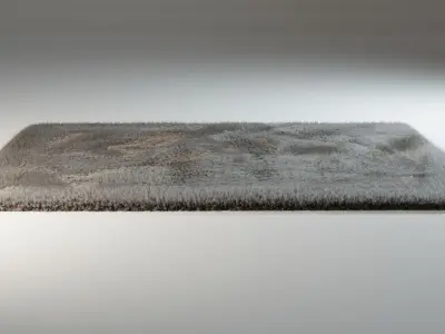 Furry Carpet 3D model