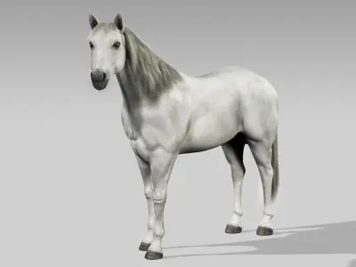  Horses Bundle (Animated) (Fur) 