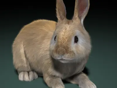  Rabbit Cream (ANIMATED) (FUR) 