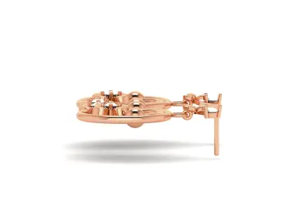 Women Earrings 3D print model