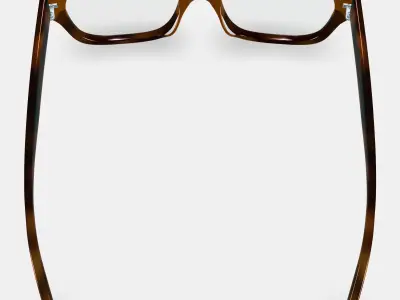 Wentworth Eyeglasses in Saddle Tortoise Fade 3D model