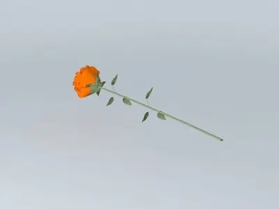 Single Rose Flower Free 3D model