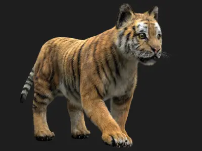  TigerBaby Fur 3D 