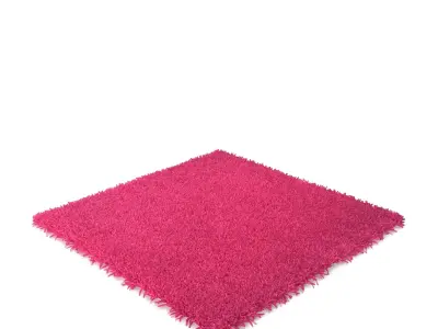 carpet HAMPEN 80x80 3D model