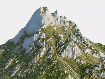 Green and Snow Mountain  3D model