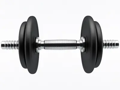 Dumbbell pair of dumbbells 3D model